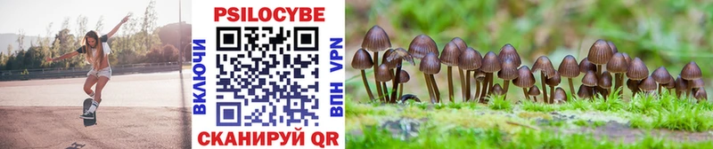 Псилоцибиновые грибы Psilocybine cubensis  Юрга 